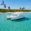 12m Aluminum Cruising Catamaran Sailing Yacht
