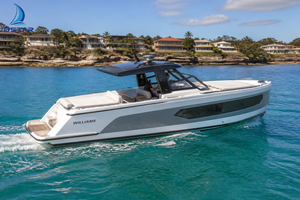 Dookyu Crown 32ft Aluminum Luxury Day Cruiser