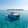 Dookyu Crown 33ft Aluminum Double Hull Sport Fishing Catamaran