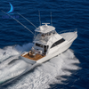 Dookyu Crown 40ft Aluminum Offshore Sport Fishing Yacht